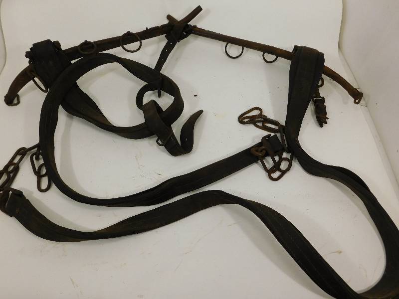 lot 64 image: Vintage Harness