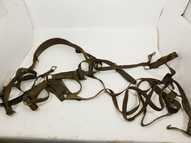 lot 65 image: Leather Straps & Chains For Horses Or Mules