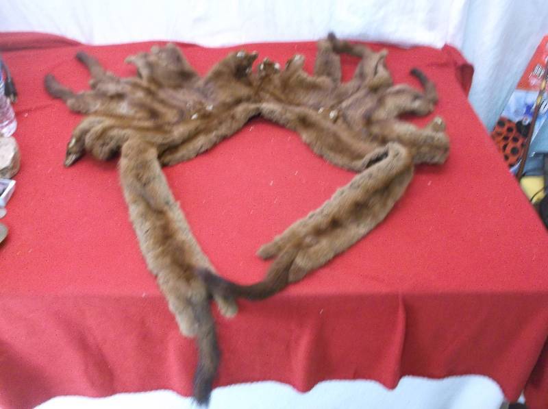 Mink Stole