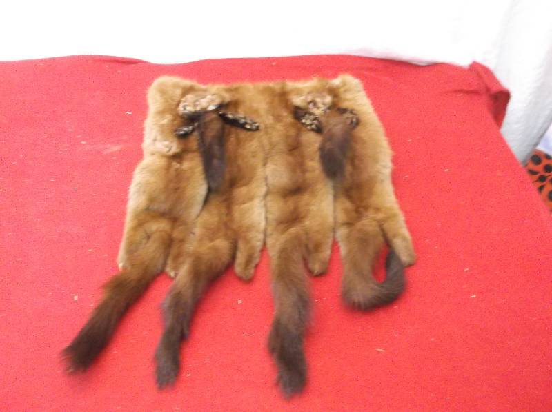 Mink Muff