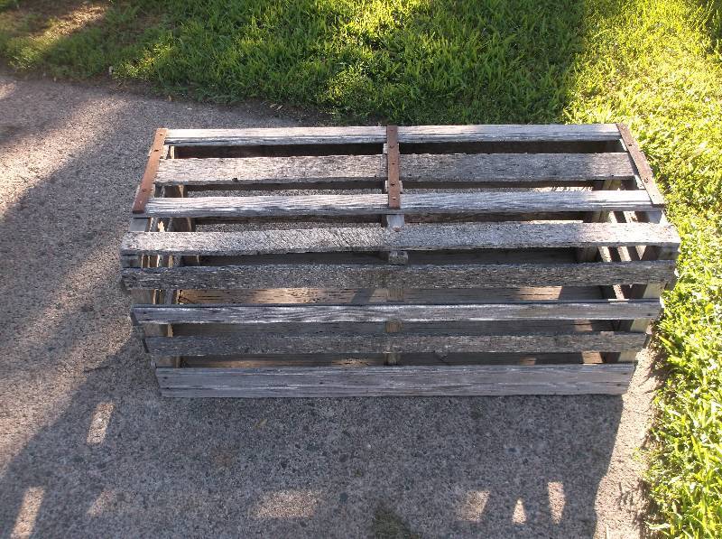 Primitive