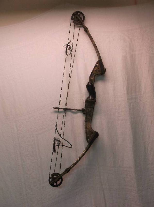 Hunting Bow