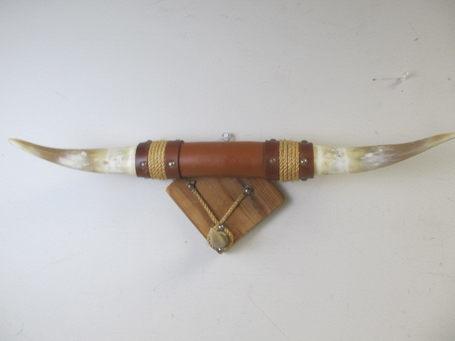 lot 79 image: Mounted Longhorn Wall Display