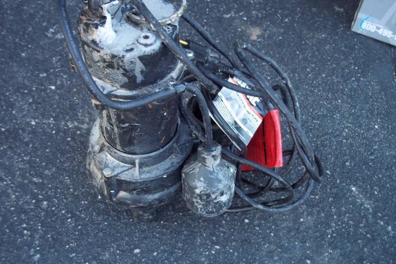 lot 52 image: Wayne 12 HP Sewage Pump