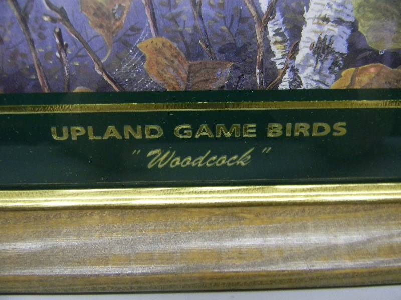 lot 15 image: VINTAGE 1996 PABST BLUE RIBBON BEER SECOND IN A SERIES (COMPLETE SET LOT 14-18) UPLAND GAME BIRD SERIES - WOODCOCK - APPROX 21 BY 16 - SEE PICTURES