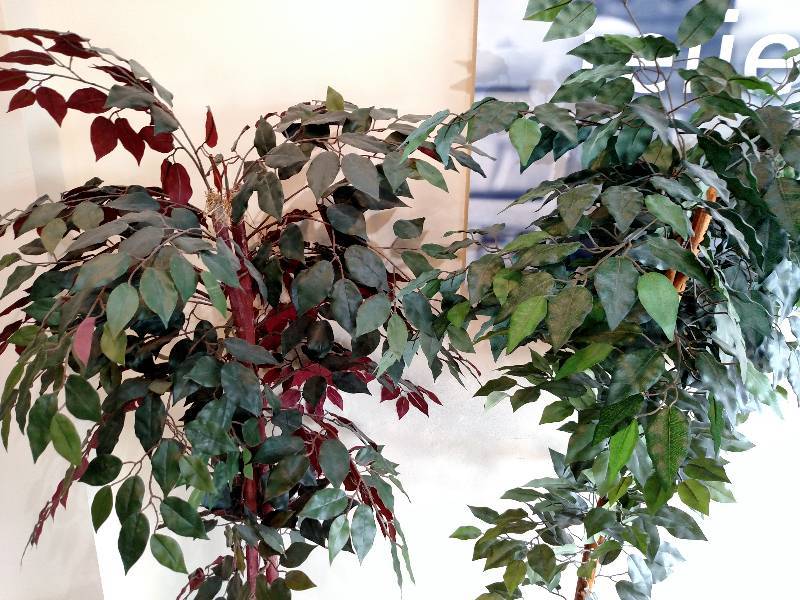 lot 32 image: (2) 6 Fake Plants...