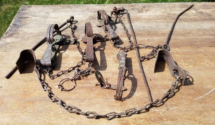 lot 127 image: 4 Old Gopher Traps with chains and bars