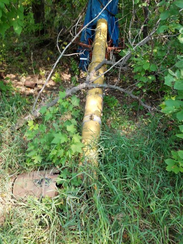 lot 257 image: Grain Auger in the woods