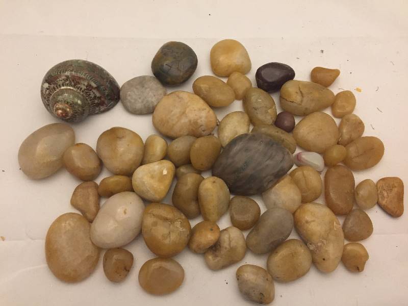 lot 196 image: Polished Rock Collection