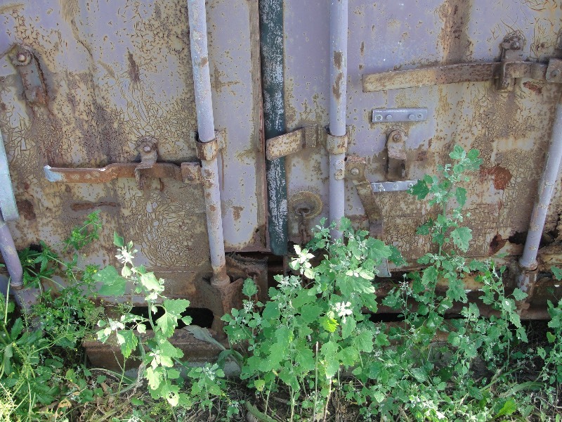 CONTAINER DUMPSTER