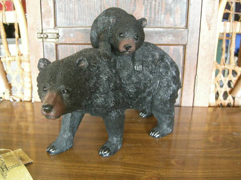 Black Bear with Cub