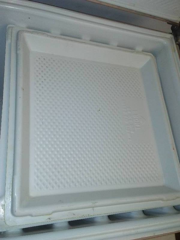 Coleman fridge size cooler