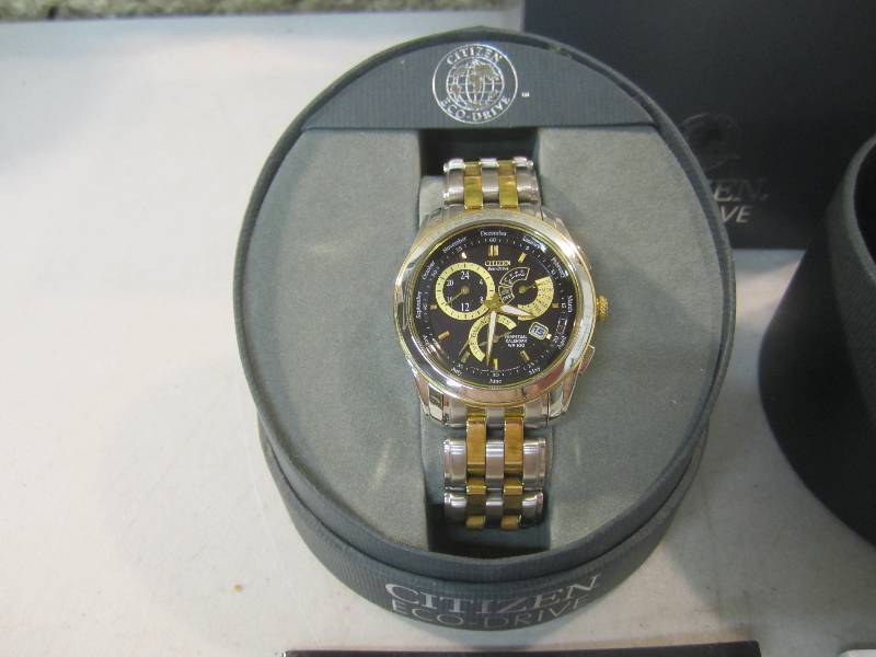 lot 25 image: Citizen Eco-Drive WR100 Eco Perpetu...