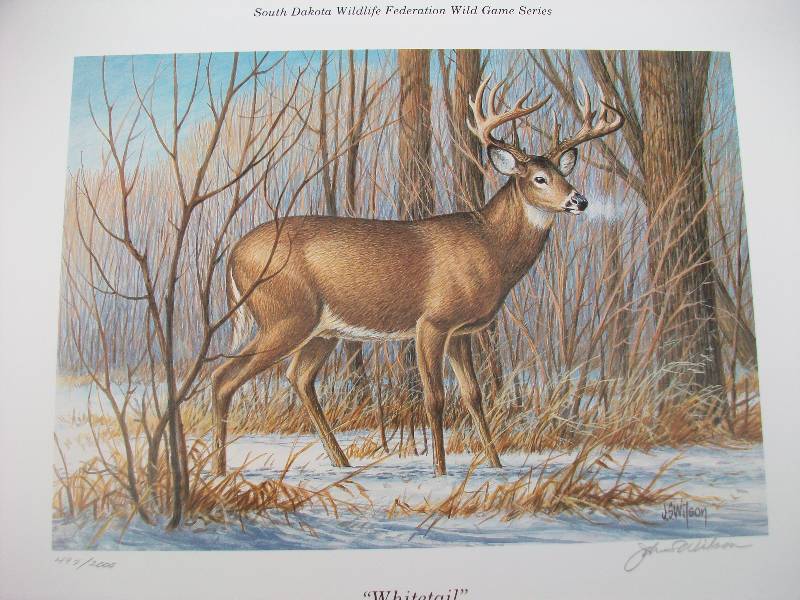 lot 98 image: Signed Wildlife Prints