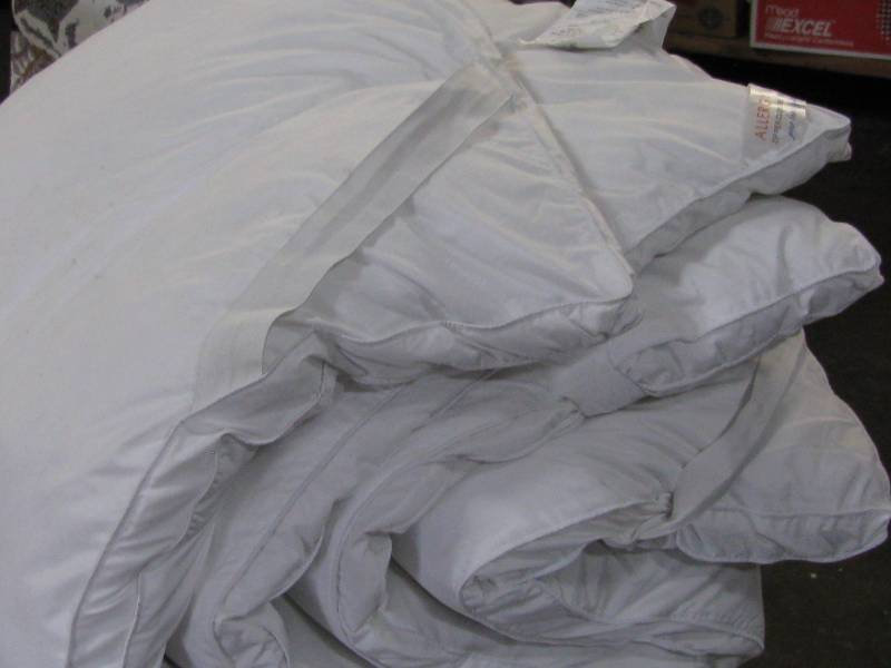 lot 47 image: Mattress Pad