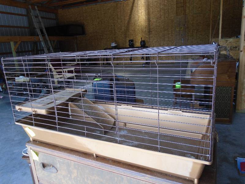 Animal Cage