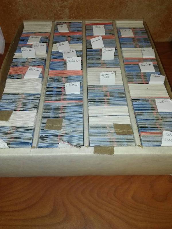 3080 cards sorted by teams MLB baseball