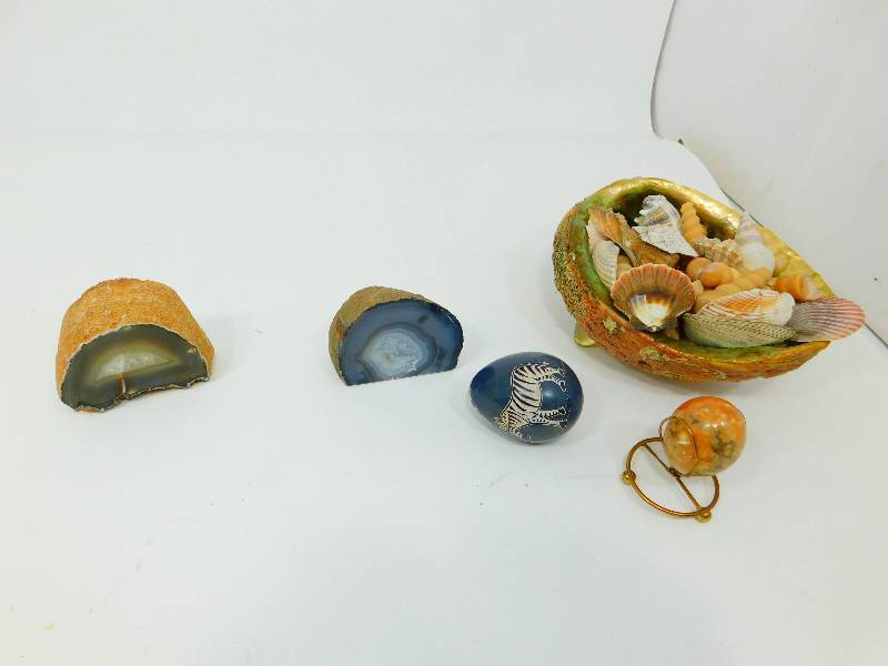 lot 46 image: Seashells In A Shell Container & Other Rock Items