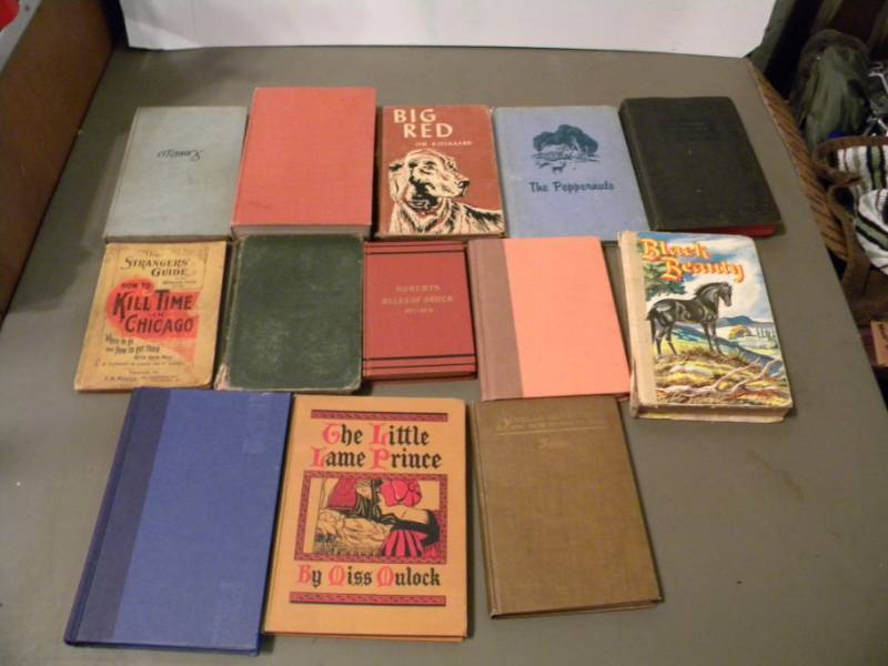 13 AntiqueVintage Books