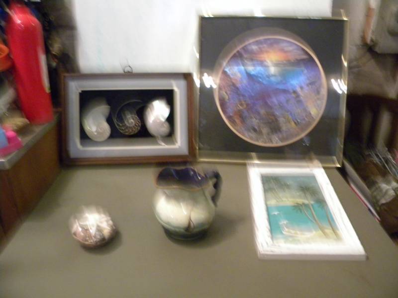 Shells, Ocean Scenes & Picture