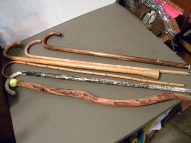 5 Canes & a Walking Stick