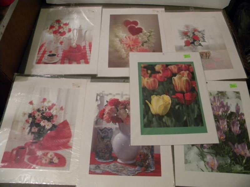 7 Flower Prints