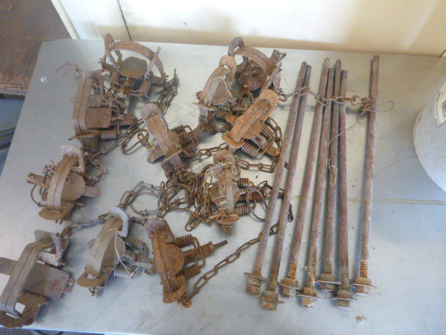lot 39 image: 11 Animal Traps