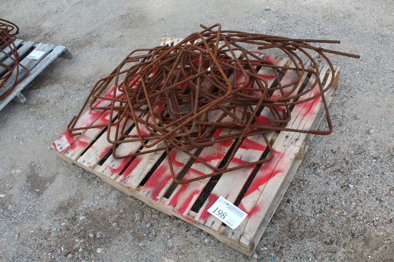 lot 198 image: Rebar