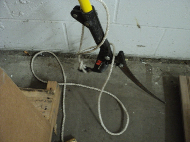 pole saw...