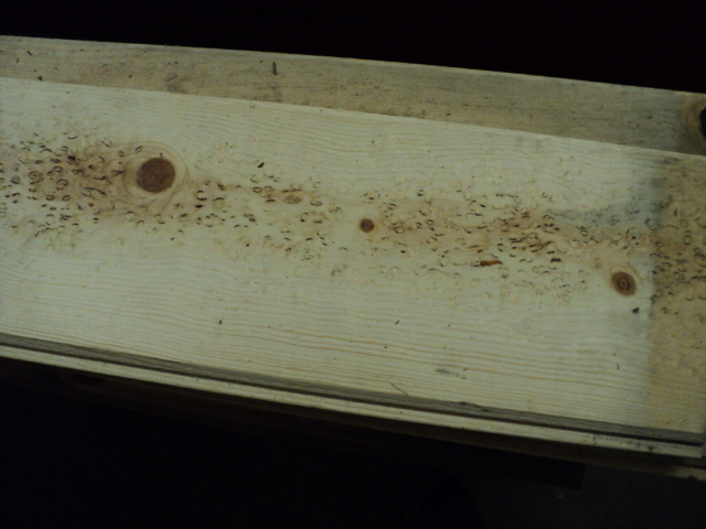 1 x 8 Pine Tongue and Groove boar...