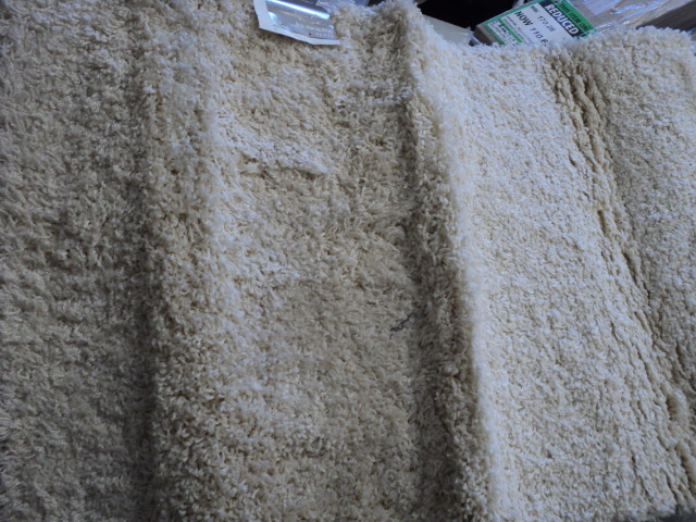 Shag 2 x 3 rug...