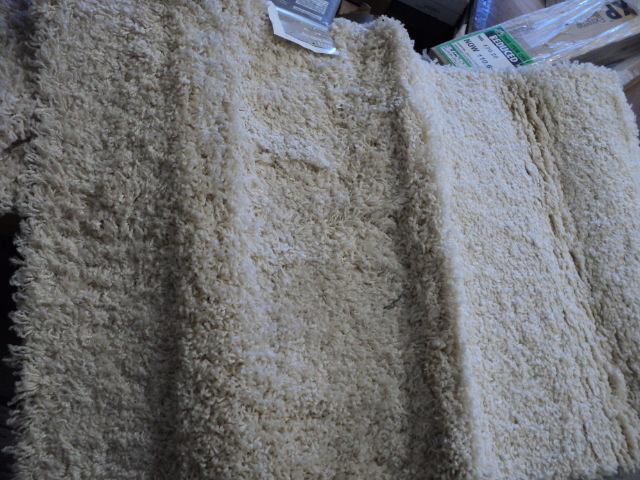Shag 2 x 3 rug...