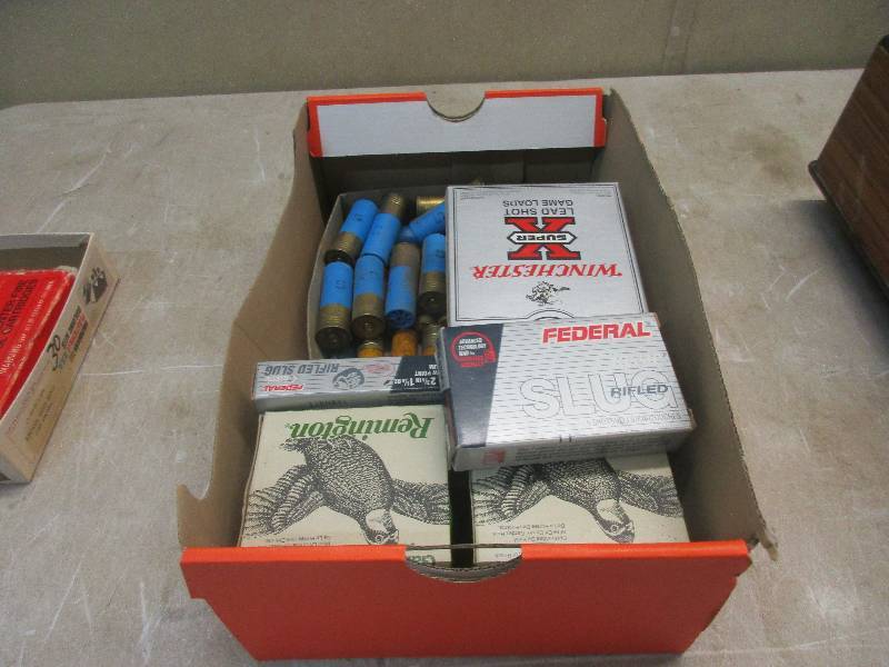 Shotgun ammo