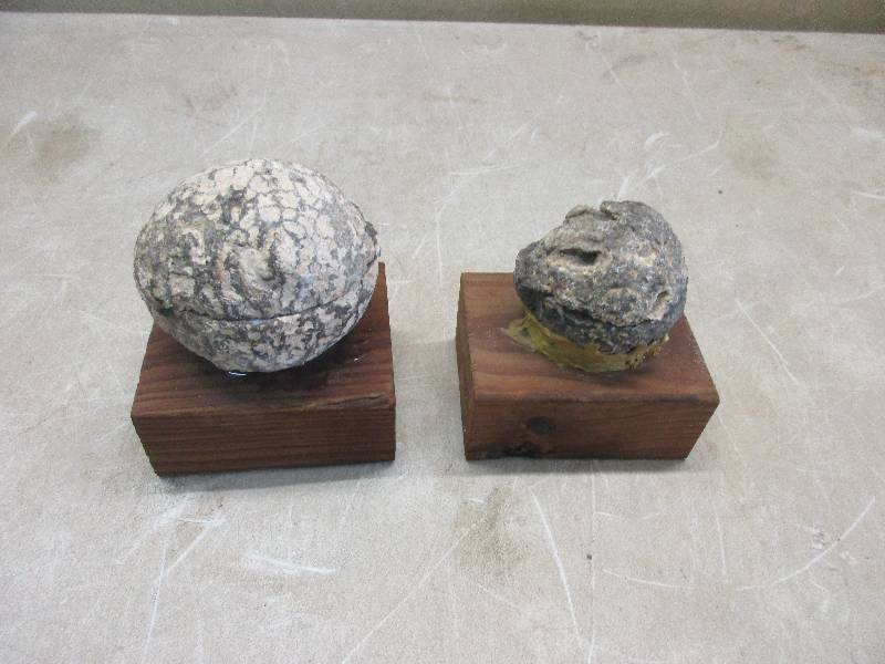 Geodes
