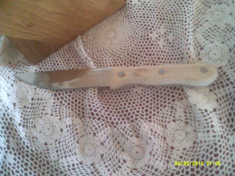 SET OF 4 STAINLESS KNIVES AND WOOD BLOCK