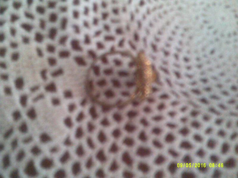 SZ 5 GOLD RING BLUE STONE