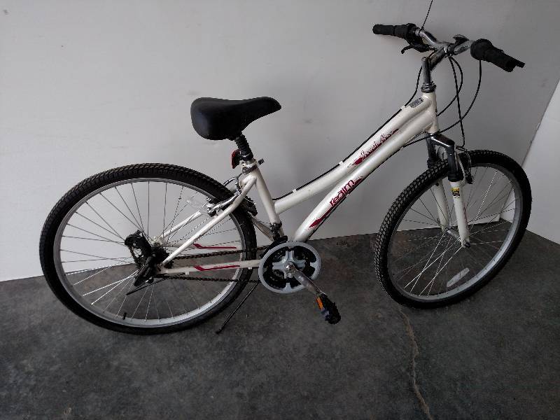 Realm 26, 21 Speed Bicycle...