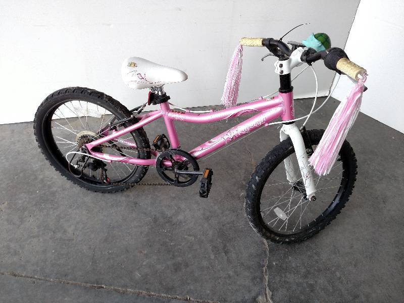 Raleigh 20 Bicycle...