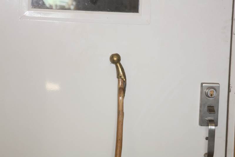 Walking stick