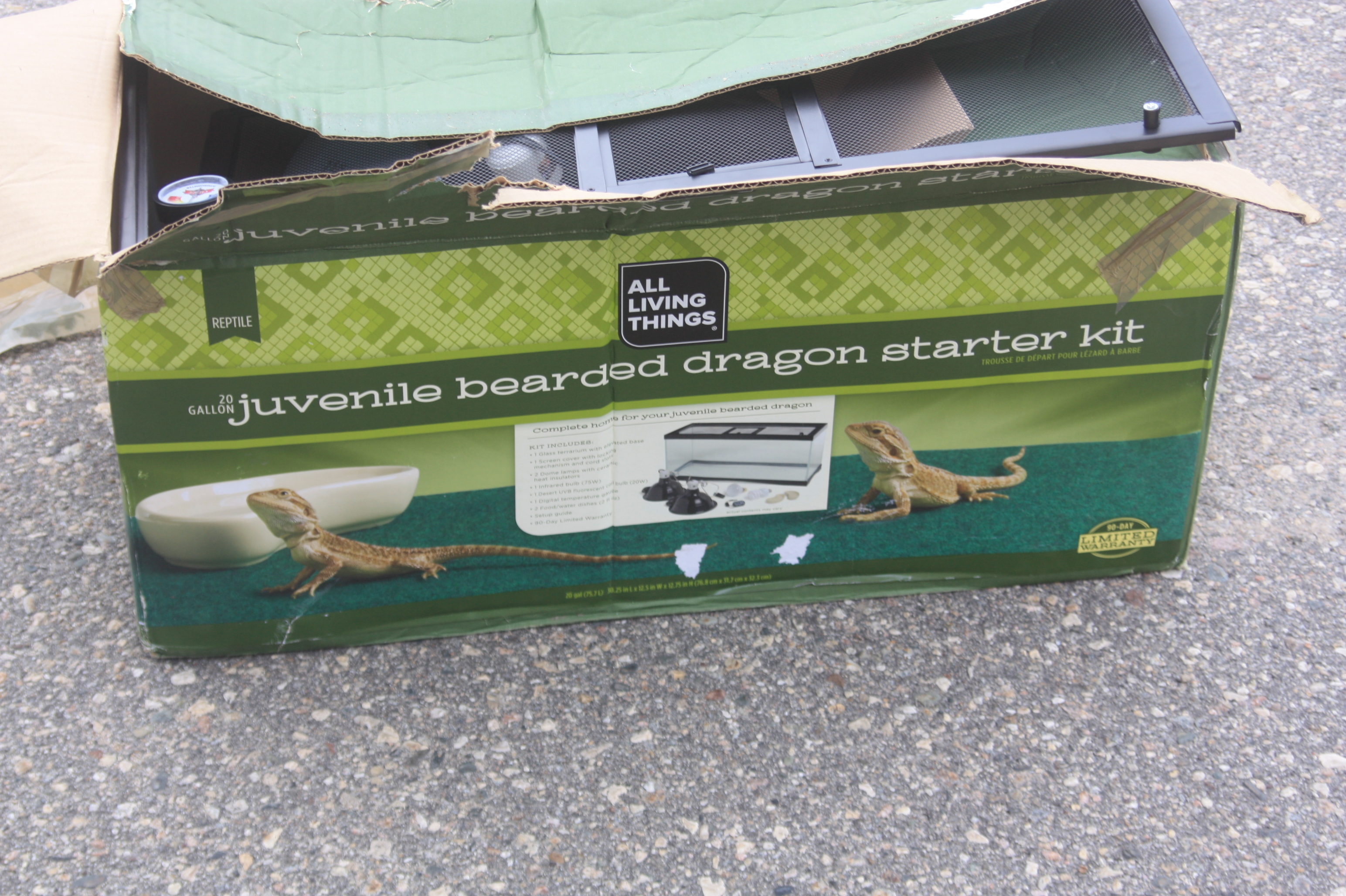 Lizard tank