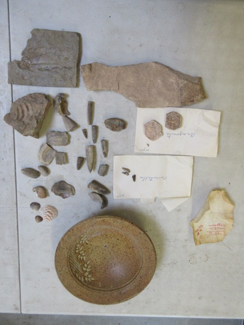 lot 447 image: FOSSILS AND ANCIENT STONE FRAGMENTS