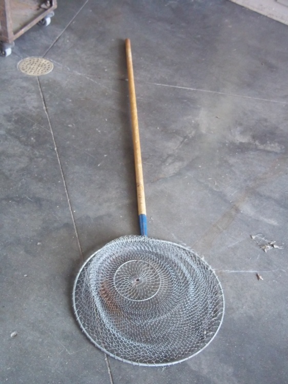 lot 227 image: Fish Net