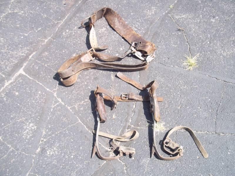 lot 333 image: Climbing Gear, Belt and set of spikes