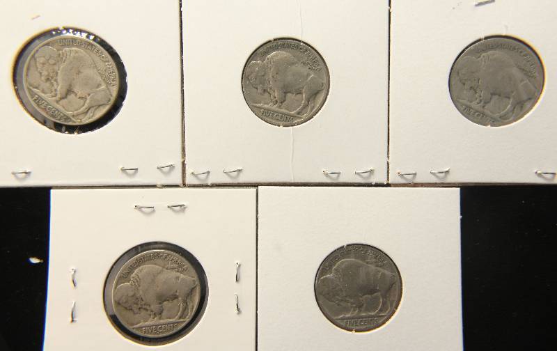 GROUP OF 5 BUFFALO NICKELS AS PICTURED