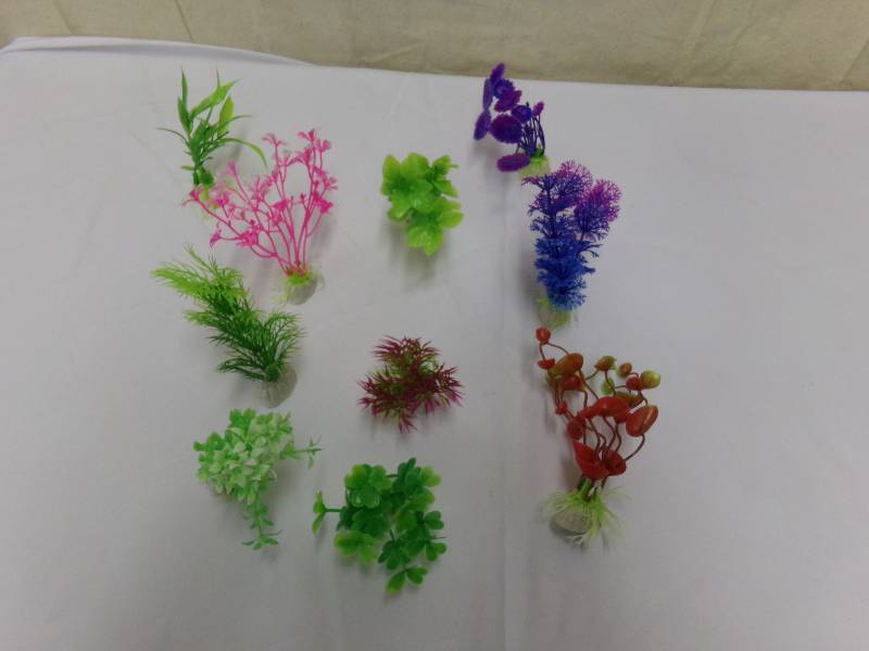 lot 520 image: AQUARIUM PRODUCT