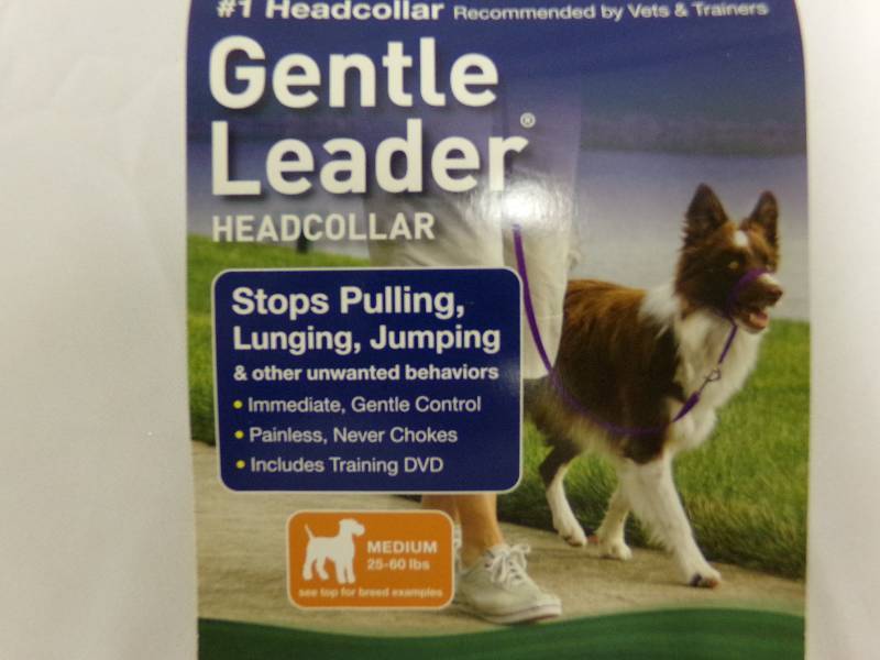 lot 547 image: DOG ITEM