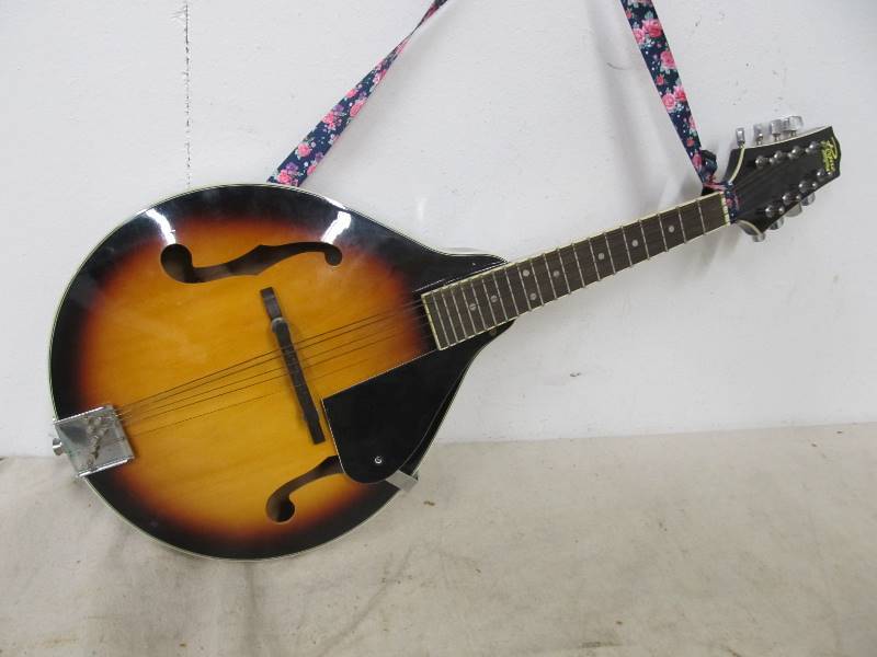 lot 26 image: ROGUE Fine Instruments Mandoliin