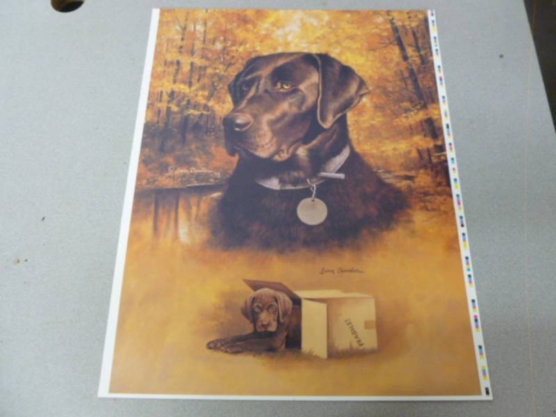 lot 53 image: Print