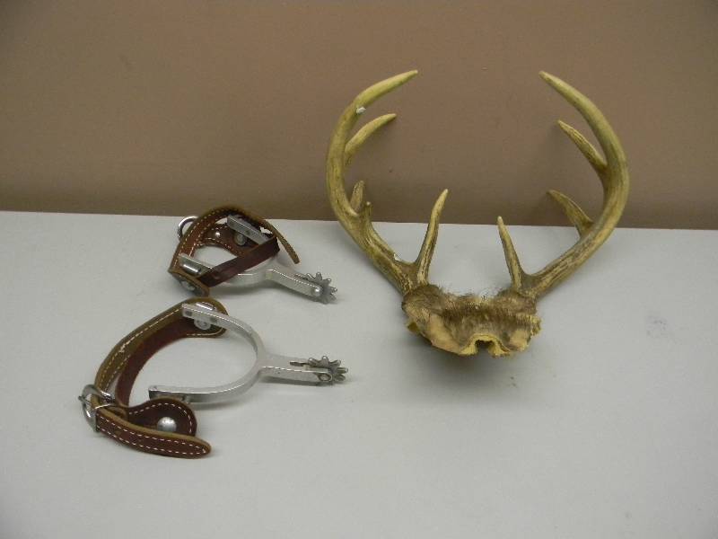 lot 73 image: DEER ANTLER RACK WITH VINTAGE PAIR OF SPURS - SEE PICTURES
