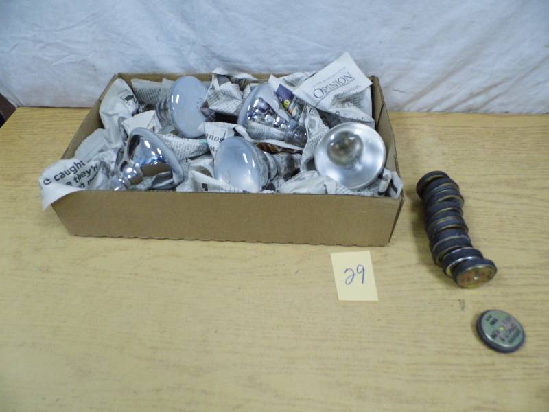 lot 29 image: Speaker Magnets - Lightbulbs